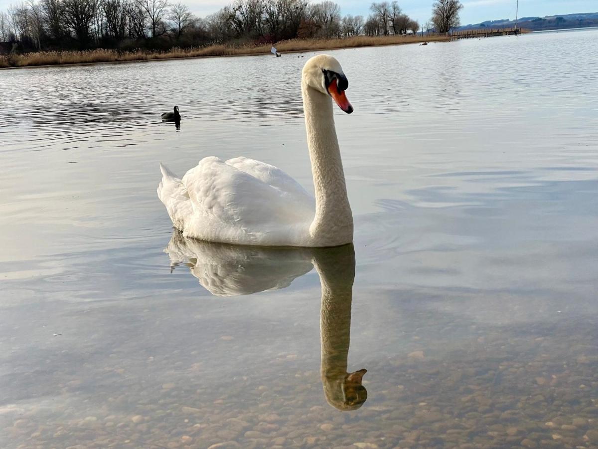 Übersee Ferienwohnung Am Chiemsee المظهر الخارجي الصورة